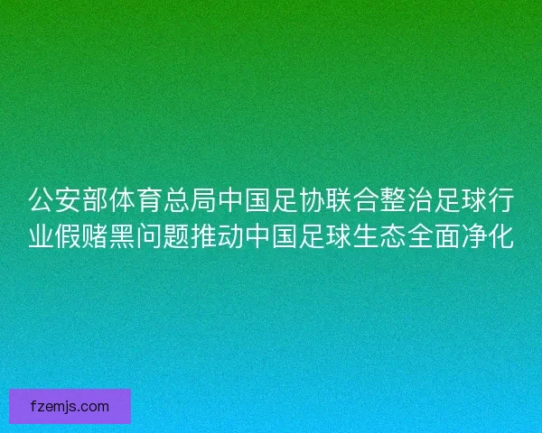 公安部体育总局中国足协联合整治足球行业假赌黑问题推动中国足球生态全面净化